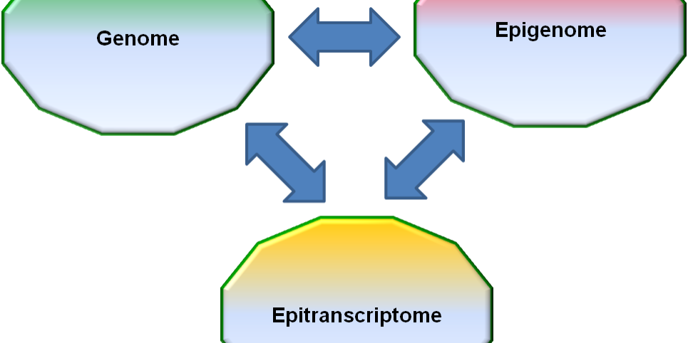 20170321_Esteller_CancerDiscovery