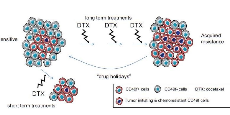 20170426_GonzalezSuarez_StemCellRep