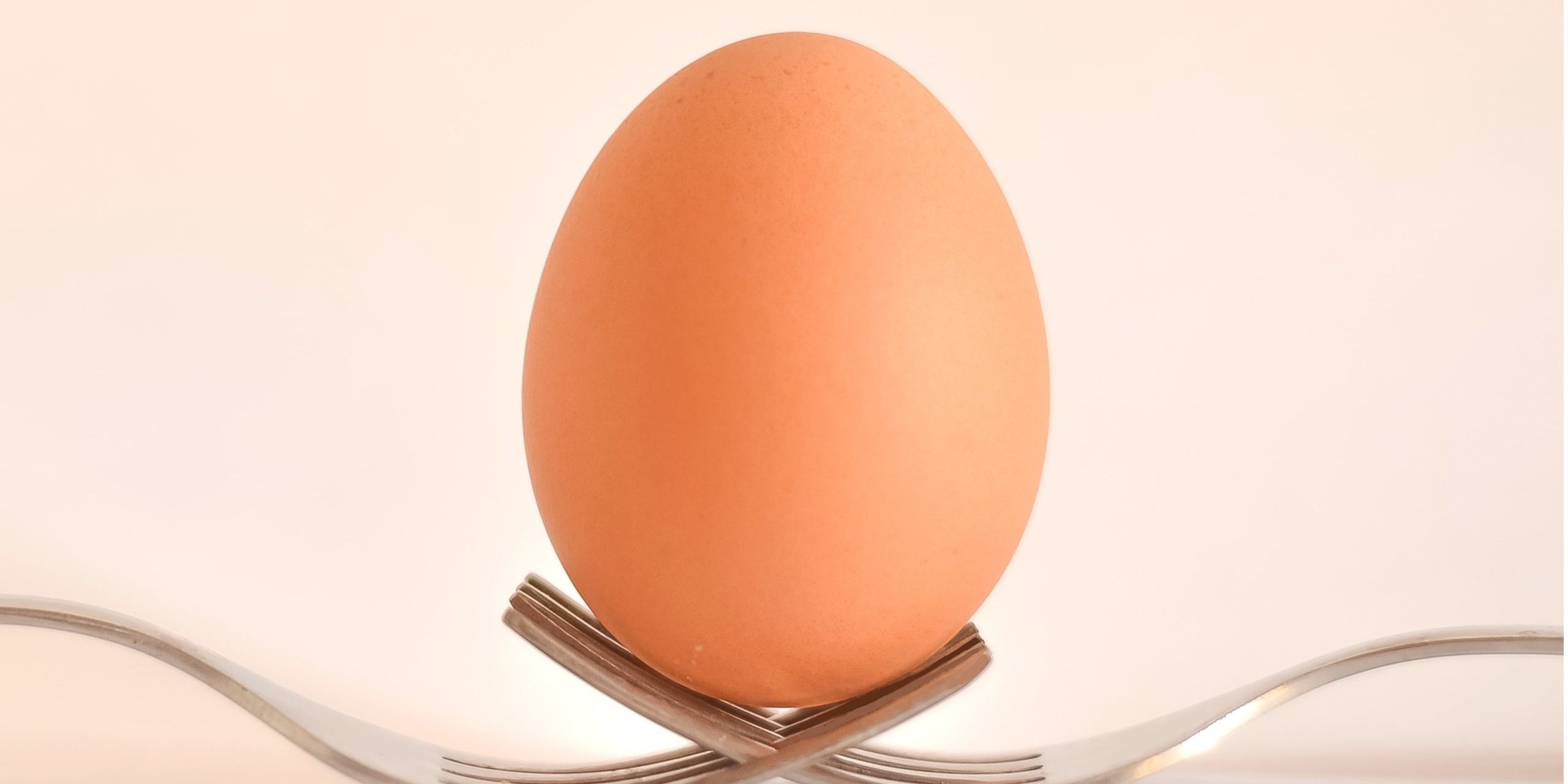 egg-food-forks-17609